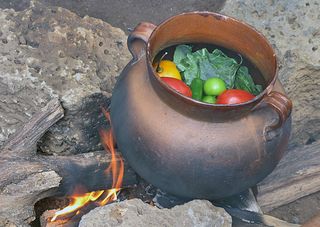 Zirita Col de Árbol en el Fuego