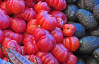 Zaachila Jitomate Riñón