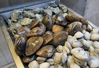 Mercado SJ Ostras Almejas y Almejas Blancas