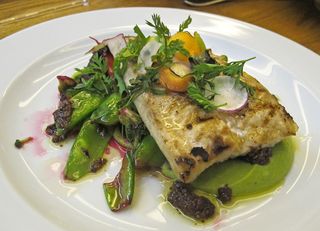 Merotoro Dorado Merotoro Dorado