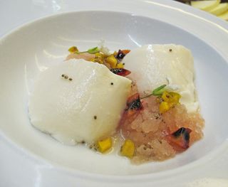 Merotoro Pannacotta Merotoro Pannacotta