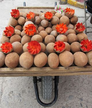 Oaxaca Tlacolula Mamey Oaxaca Tlacolula Mamey