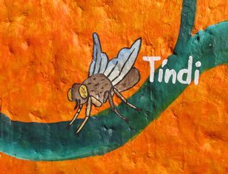 Santa Fe 2 Tindi Mosca