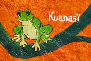 Santa Fe 7 Kuansï Frog