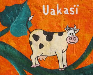 Santa Fe 9 Uakasï Vaca