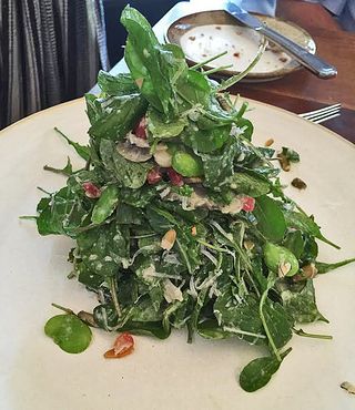 Máximo Arugula y Alcochofa1 Máximo Arugula y Alcochofa1