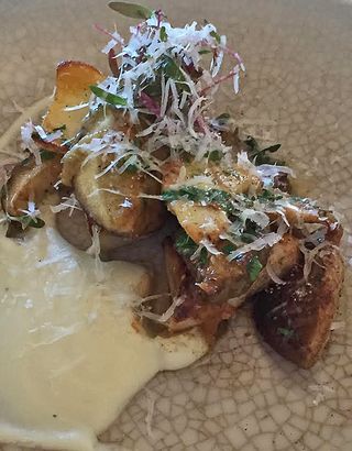 Máximo Porcini Salad1 Máximo Porcini Salad1