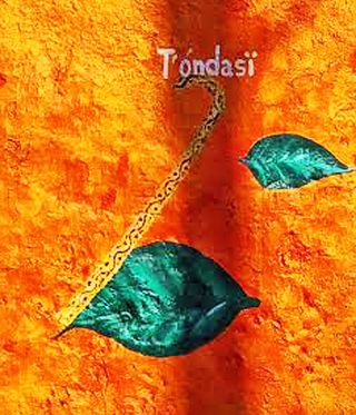 Santa Fe Wall 4 T'ondasï