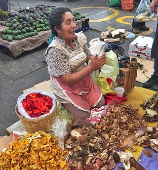 Mercado de Jamaica Wild Mushrooms 2 Sept 2015
