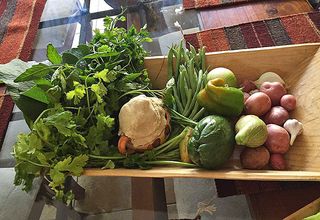 Clase Charola Sopa de Gui?as MC Clase Charola Sopa de Gui?as MC