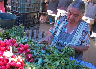 Zaachila Otra Vendedora