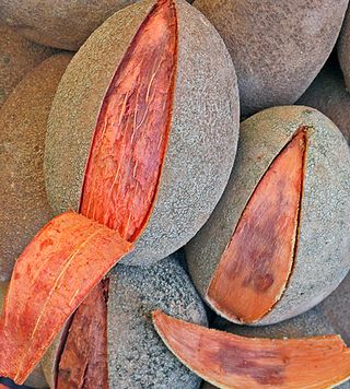 Mercado San Juan Morelia Mamey