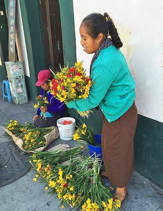 Oaxaca Vendedora de Freesias 2 Oaxaca Vendedora de Freesias 2
