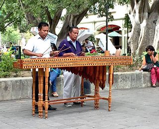 Oaxaca Zo?calo Marimba 2 Oaxaca Zo?calo Marimba 2