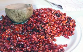 Chiapas Chiles Simojovel Chiapas Chiles Simojovel