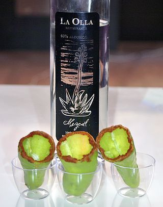 La Olla Oaxaca Mezcal La Olla Oaxaca Mezcal