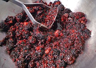 Yoghurt 11 Zarza Yoghurt 11 Zarza