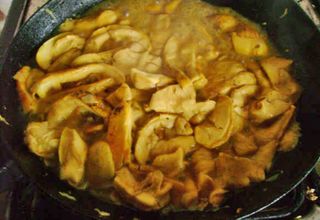 Amanita Frying, Cactu