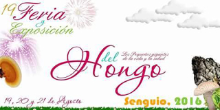 Senguio 2016 Senguio 2016