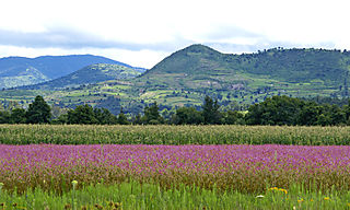 Camino a Senguio, 23-08-08