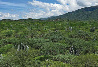 Cueva Biosfera desde la Cueva Cueva Biosfera desde la Cueva