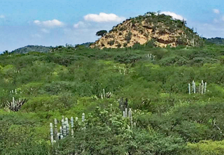 Cueva Bio?sfera Colina Rocosa 2 Cueva Bio?sfera Colina Rocosa 2