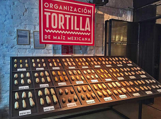 Evento 17-11-2016 Salvemos el Mai?z Palomero Mexicano 2