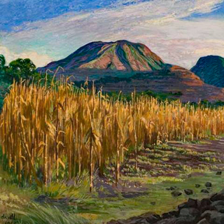 Mai?z Dr. Atl 1 Mai?z Dr. Atl 1