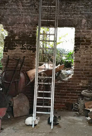 Baker Kitties Ladder Pamela 2