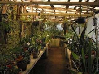 Coatepec Museo de Orquidea