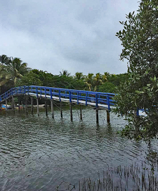 Mandinga Alvarado Puente 2 Mandinga Alvarado Puente 2