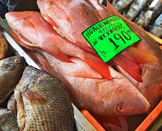 Viga Huachinango Whole 1 Viga Huachinango Whole 1