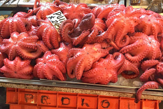 Viga Monton de Pulpo 1a Viga Monton de Pulpo 1a