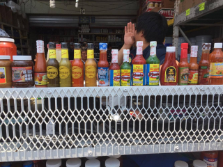 Viga Salsitas 1 Viga Salsitas 1