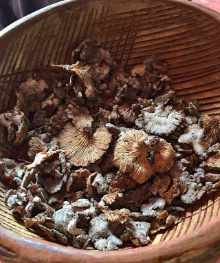 Naku? Desayuno Hongos Silvestres 1