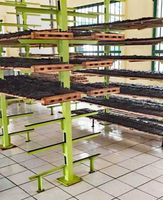 Veracruz Gaya Beneficio 4 Veracruz Gaya Beneficio 4