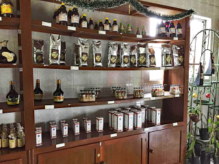 Veracruz Gaya Tienda 1 Veracruz Gaya Tienda 1