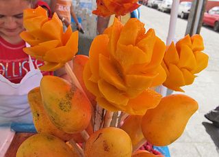 Mango Flowers Pa?tzcuaro Feb 2011 Mango Flowers Pa?tzcuaro Feb 2011