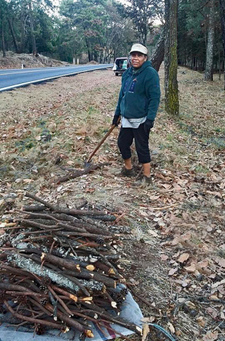 Rosalba con Len?a 1 Rosalba con Len?a 1