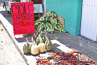 Queréndaro, Michoacán