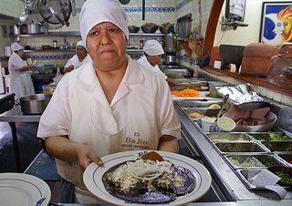 Titita Doña Sandra Olvera Titita Doña Sandra Olvera