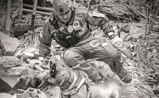 Daniel Aguilar El Universal Perro de Rescate Sept 2017 Daniel Aguilar El Universal Perro de Rescate Sept 2017