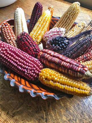 Mai?ces Mexicanos Josue? Castro 1 Mai?ces Mexicanos Josue? Castro 1