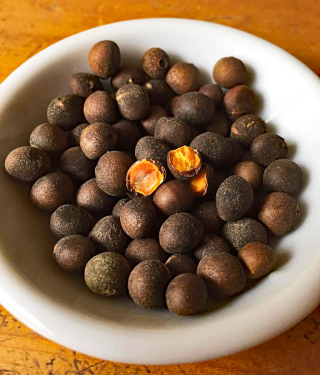 Azafra?n de Bolita 1a MC Azafra?n de Bolita 1a MC