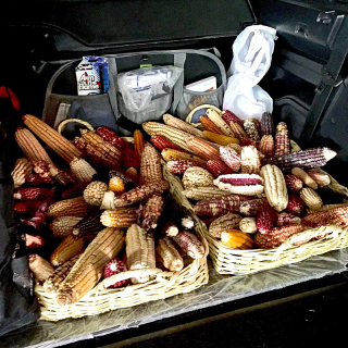 Baja Mai?ces On The Road MC Baja Mai?ces On The Road MC