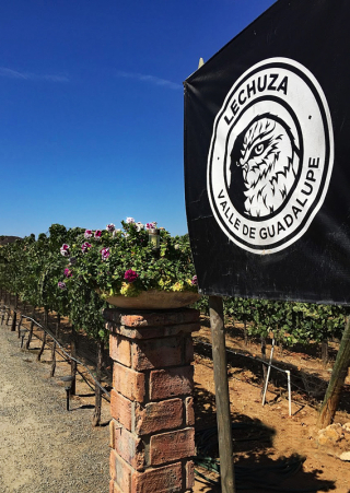 Lechuza Entrada 2 MC Lechuza Entrada 2 MC