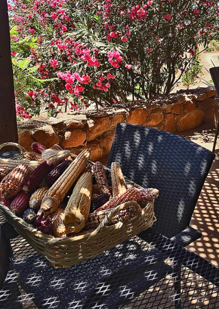 Pijoan Mesa con Mai?ces 2 MC Pijoan Mesa con Mai?ces 2 MC