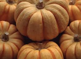 Calabaza de Castilla Whole Calabaza de Castilla Whole