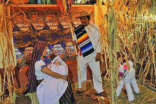 Nacimiento en Vivo Nacimiento en Vivo