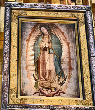 Basi?lica Framed Tilma 1